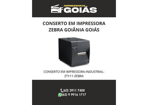 ASSISTÊNCIA-TÉCNICA-IMPRESSORAS-ZEBRA-GOIÂNIA-GOIÁS - 5
