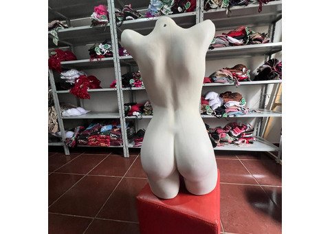 Manequins semi-novos - 2