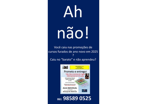 Inglês eficaz  em 65 aulas individuais com  prof nativo - 2