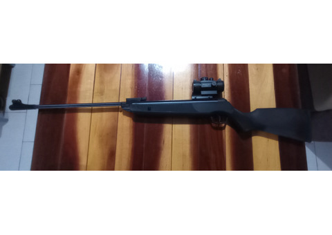 Rossi sport UP 5.5